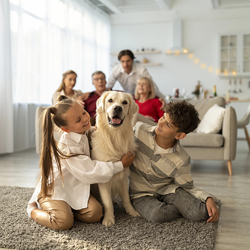 Seguros de familia representados por una familia con su mascota en el salón de casa.